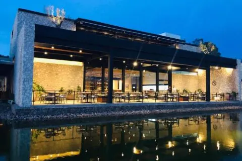 비녜도스 산 프란시스코