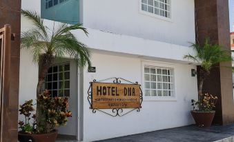 DNA Cancun Hotel y Posada