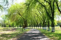 The Orchard Hotel Ukiah Wine Country Free Breakfast, Pool, & Hot Tub