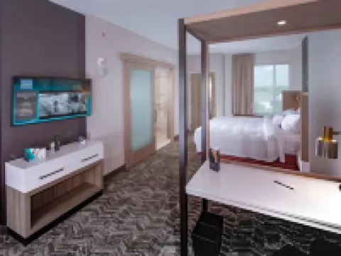 SpringHill Suites Newark Downtown Hotels in Newark