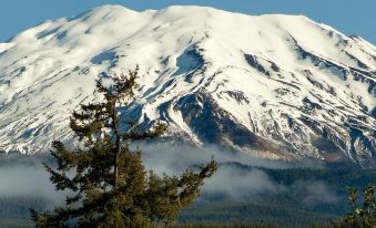 a snow - covered mountain with a snow - capped peak in the background , surrounded by trees and clouds at Lone Fir Resort