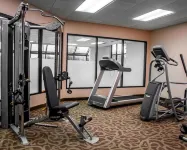 Comfort Inn & Suites Watertown - 1000 Islands - С тренажерным залом