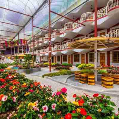 凱阿花園旅館 Others