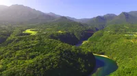 Pension Sea Forest Hotels in Yakushima