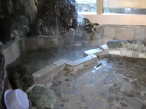 Business Hotel Rokugo 오미타마 시 호텔