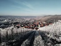 Brunnenhof Randersacker - Das Kleine Hotel فنادق في Rottendorf