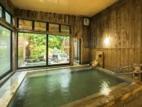 Nikko Toshogu Koyoen