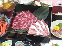 Shinshu Asukasou Hotels in Ikusaka