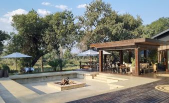 Karongwe Portfolio - Becks Safari Lodge