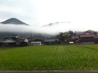 Minsyuku Satoyama Hotels in Tsuwano