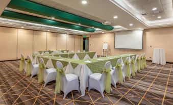 Holiday Inn San Jose la Sabana