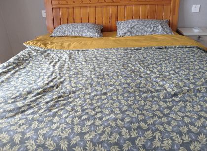 初見日租白溝民宿（興隆大街分店）