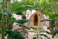 Unique Jungle Dome 2 Queen Beds