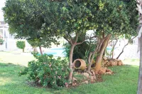 Casa Del Ancla, Attractive House Near the Sea Hotels near La Mata Beach