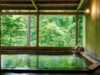 Nakaya Fudokaku - Hot Springs
