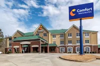 Comfort Inn & Suites Cartersville - Emerson Lake Point فنادق في بارتو كاونتي