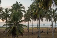 Alamayah Boutique Retreat Hotel & Private Residents - Beach