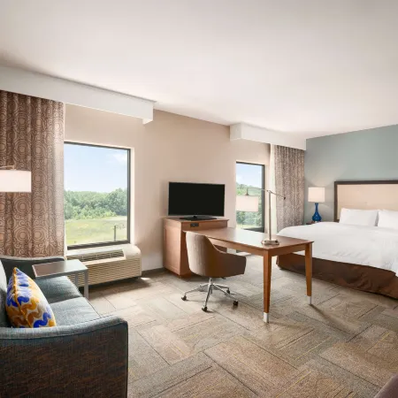 Hampton Inn & Suites Lavonia