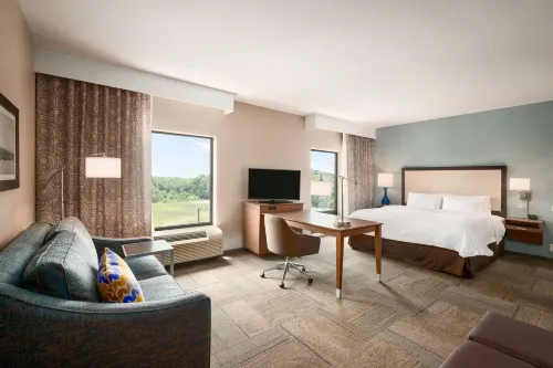Hampton Inn & Suites Lavonia - 2-stjärniga