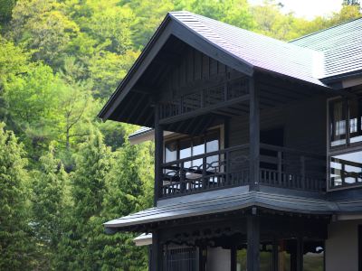 Aoneonsen Full Building Hot Spring Inn