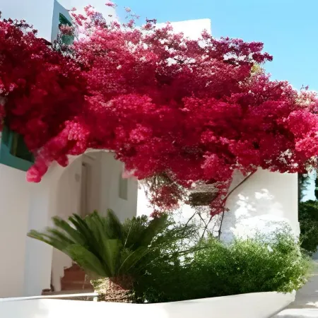 Mastichari Bay Hotel Hotel di Kos