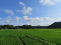 Capetown Resort Hotels in Isumi