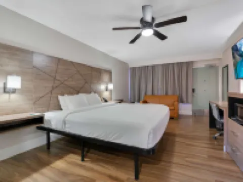 クオリティ イン & スイーツ エアポート / クルーズ ポート ハリウッド ハリウッドのホテル