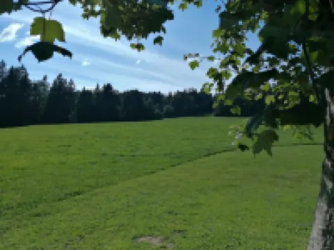 Appartement - les Poingnats