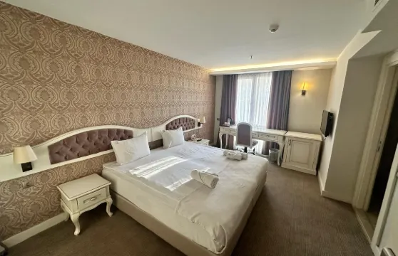 漢扎德公園酒店