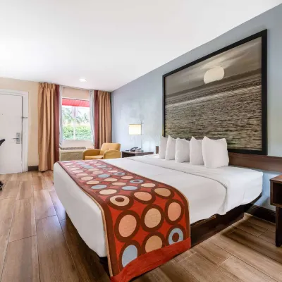 Super 8 by Wyndham, Florida City/Homestead/Everglades Hotels near Life Pointe Church