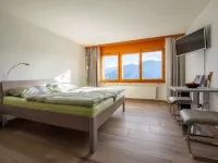 Zurschmitten 11 2.UG Süd Hotels in Riederalp