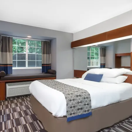 Microtel Inn & Suites by Wyndham Bremen Отели в г. Харальсон