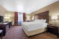 Comfort Inn & Suites Artesia Hotels in Artesia