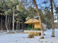 Milenium Villa Hotels near Arpi Resort