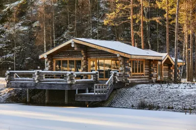 Triumf Park-Hotel Hotels in 