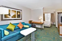 SpringHill Suites Chicago Naperville/Warrenville Hotels in Warrenville
