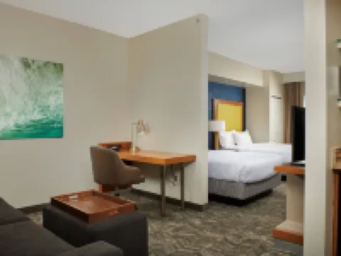 SpringHill Suites Baton Rouge North/Airport Hotels in East Baton Rouge Parish