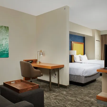 SpringHill Suites Baton Rouge North/Airport