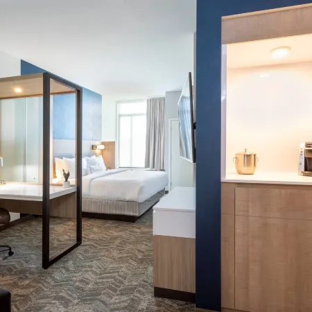 SpringHill Suites Minneapolis Maple Grove/Arbor Lakes