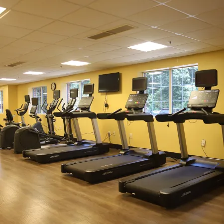 Holiday Inn Express & Suites CHARLOTTESVILLE - RUCKERSVILLE by IHG
