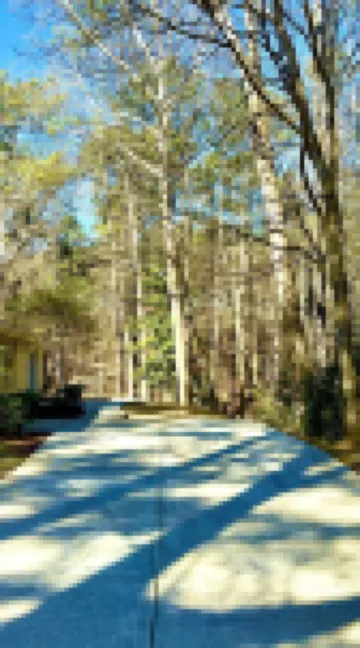 Beautiful 2BR 1BA - Atlanta's Best Location & Amenities