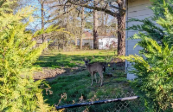 Luxury Wine Country Escape w/ 3 King Suites & Putting Green – Walk to Town Hotels in Carlton