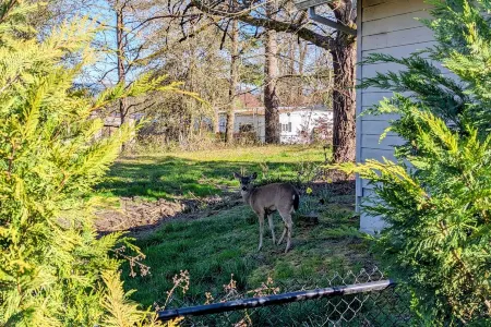 Luxury Wine Country Escape w/ 3 King Suites & Putting Green – Walk to Town