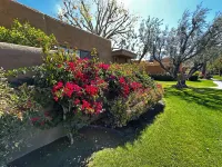 30-day minimum, 5 miles to downtown and 1 mile from airport