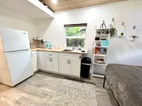 Downtown Tropical Studio