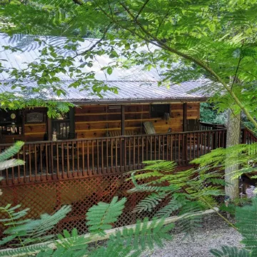 Private - Spacious- Creek Lined Cabin