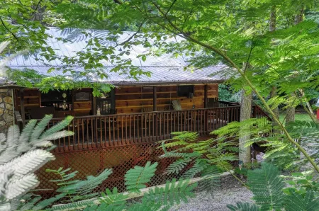 Private - Spacious- Creek Lined Cabin