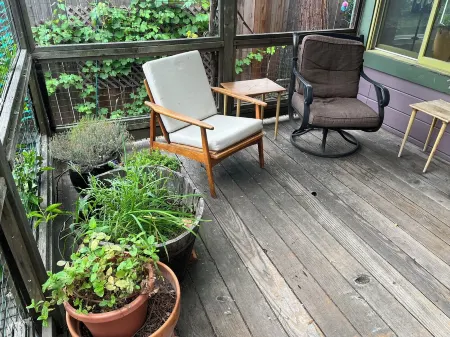 Quiet Cottage on the Lane Close to SF, Parks, Redwoods, Zoo, BART and the Ferry! Отели рядом с достопримечательностью «Чилдренс Фэриленд»