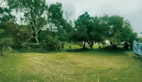 Bower by the Sea. Your home away from home. Hotels near Penneshaw Penguin Centre
