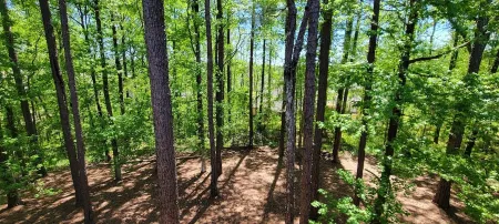 Auburn Game Day Condo Отели рядом с достопримечательностью «Парк штата Чевакла»
